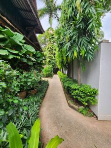 Entrance path at CLub One Seven Guesthouse